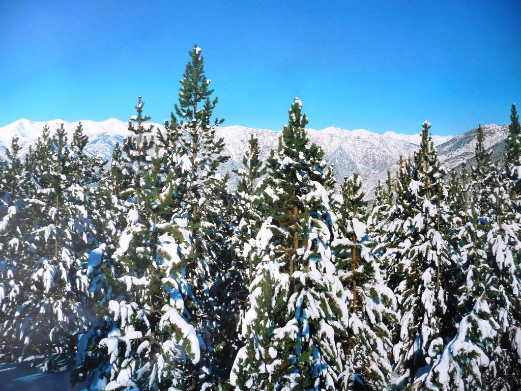 Easyloc Andorra Appartements, Studios - Pieds De Pistes Пас де ла Каса Екстериор снимка